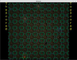 Bitweb