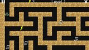 Corn Maze
