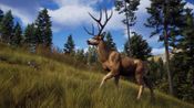 Redeem Way of the Hunter Elite Edition (Xbox Series X|S) Xbox Live Key UNITED STATES