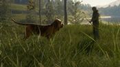 Buy theHunter: Call of the Wild™ - Weapons and Companions Bundle (DLC) XBOX LIVE Key UNITED STATES