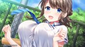 Buy Amamane