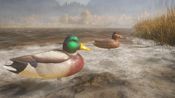 Redeem theHunter: Call of the Wild - Duck and Cover Pack (DLC) (PC) Steam Key GLOBAL