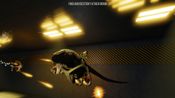 In Case of Emergency, Release Raptor