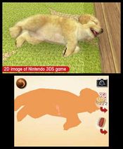 Redeem nintendogs + cats: Golden Retriever & New Friends Nintendo 3DS