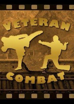 Veteran Combat game cover