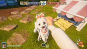 Neighbors: Suburban Warfare Steam Key (PC) GLOBAL