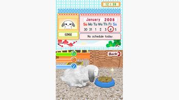 Petz Bunnyz Nintendo DS