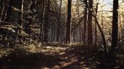 Blair Witch Steam Key GLOBAL