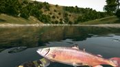 Buy Ultimate Fishing Simulator Steam Key GLOBAL