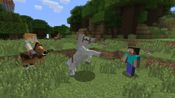 Minecraft: Nintendo Switch Edition