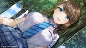 Amamane for sale