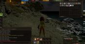 Project Gorgon
