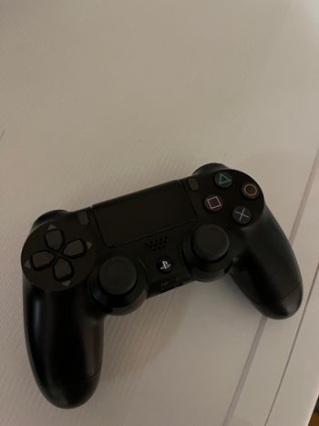 ps4 originalus pultelis 