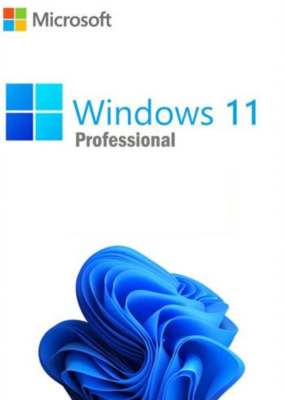 Microsoft Windows 11 Professional Key GLOBAL