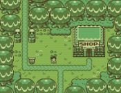 Timothy and the Mysterious Forest