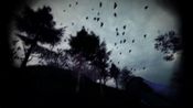 Get Light & Dark Bundle