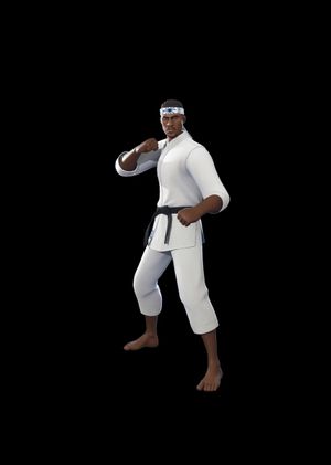 Fortnite - Dojo Defender Outfit (DLC) Epic Games Key GLOBAL