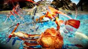Buy Fight Crab Steam Key GLOBAL