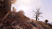 Get Fallout 76: Brotherhood Recruitment Bundle (DLC) XBOX LIVE Key UNITED STATES