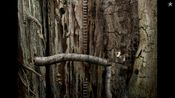 Samorost 2 Steam Key (PC) EUROPE for sale