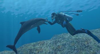 Endless Ocean Wii for sale