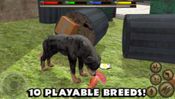 Get Ultimate Dog Simulator