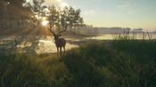 Redeem theHunter: Call of the Wild - Te Awaroa National Park (DLC) (PC) Steam Key GLOBAL