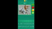 Animalia - The Quiz Game