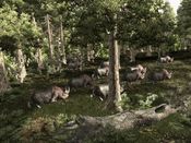 Gothic 3 Steam Key GLOBAL for sale