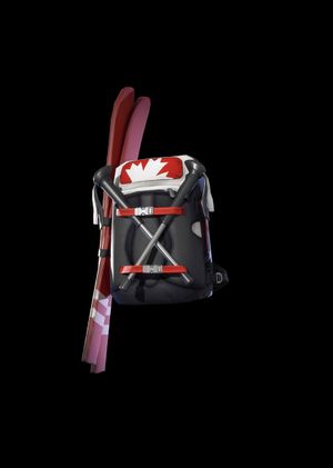 Fortnite - Alpine Accessories (CAN) Back Bling (DLC) Epic Games Key GLOBAL