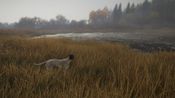 theHunter: Call of the Wild™ - German Shorthaired Pointer (DLC) Steam Key (PC) GLOBAL