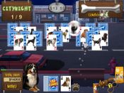 Best in Show Solitaire for sale