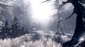 Redeem The Incredible Adventures of Van Helsing II + OST Steam Key GLOBAL
