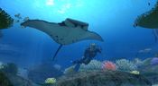 Endless Ocean Wii