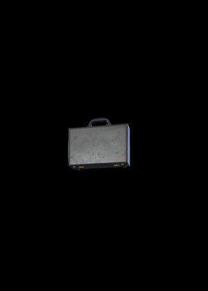 Fortnite - The Briefcase Back Bling (DLC) Epic Games Key GLOBAL