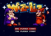 Redeem Wiz 'n' Liz SEGA Mega Drive