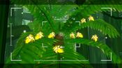 Redeem Beasts Of Maravilla Island Steam Key GLOBAL