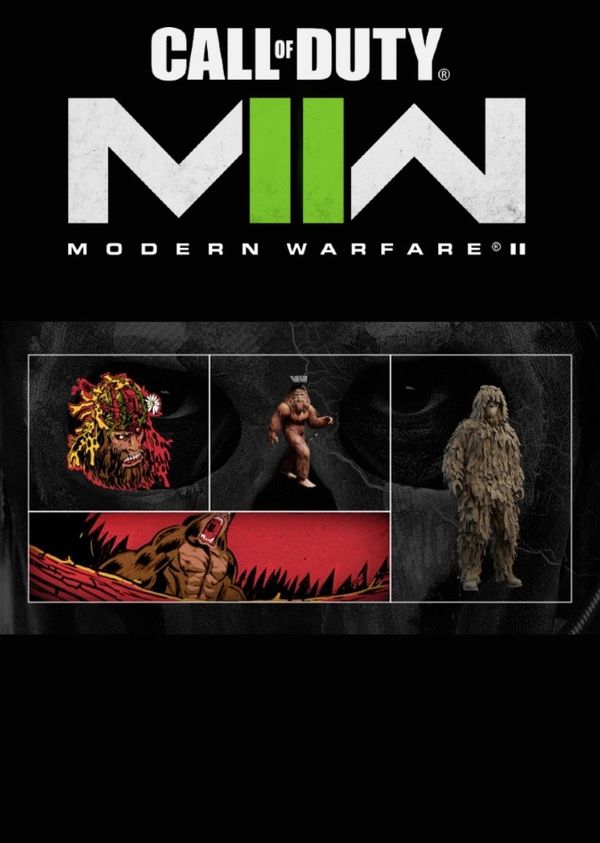 Buy Call of Duty: Modern Warfare II - Random Jack Link's Item + 30