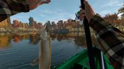 Buy The Fisherman - Fishing Planet XBOX LIVE Key UNITED STATES