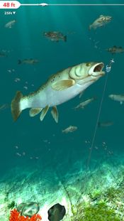 Buy Rapala Fishing - Daily Catch