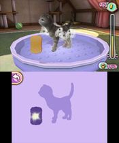 Buy Pet Inn 3D