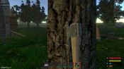 Woodlands Steam Key GLOBAL