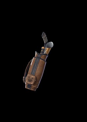 Fortnite - Casey's Golf Bag Back Bling (DLC) Epic Games Key GLOBAL