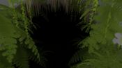 Get Echo Grotto