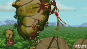Frog Climbers Steam Key GLOBAL