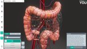 Sharecare YOU Steam Key GLOBAL