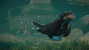 Redeem Planet Zoo: Aquatic Pack (DLC) Steam Key GLOBAL