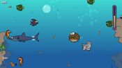 Diving Trunks