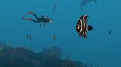 Dive with Sylvia VR for sale