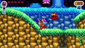 Shantae Advance: Risky Revolution Steam Key (PC) GLOBAL for sale